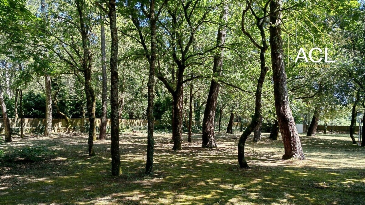 Photo 12 : Propriété d’exception à Carnac avec piscine et parc arboré