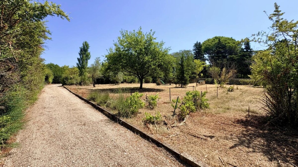 Photo 5 : Maison de caratère avec grand jardin entre Carpentras et St Didier