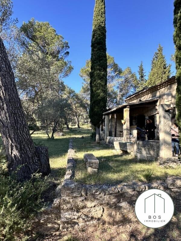 Photo 2 : Votre Mazet au coeur des Alpilles