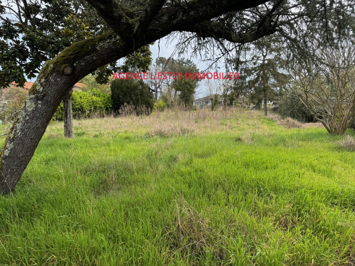 Photo 1 : Terrain - Gujan-Mestras - 788m²