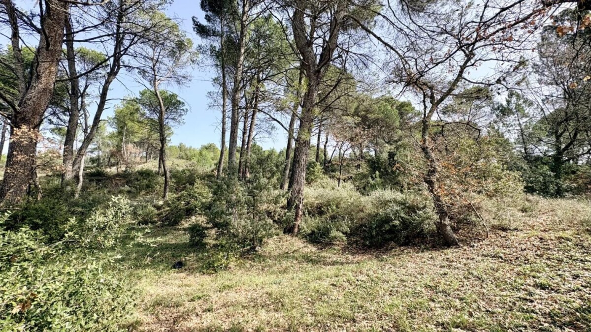 Photo 16 : Cabanon à rénover sur 1,5 hectare de nature à Mormoiron