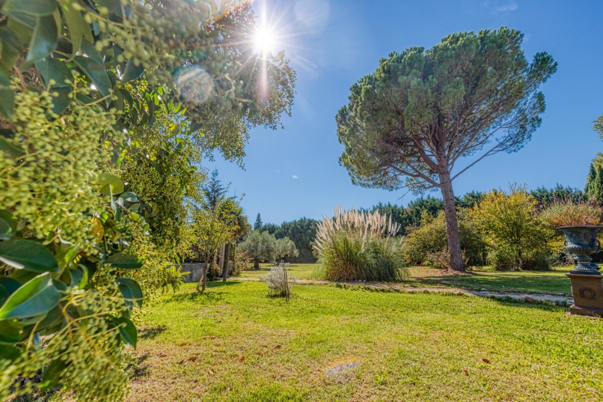Photo 2 : Propriété - Orange - 710m²