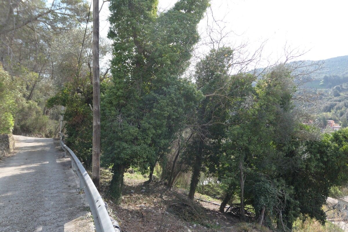Photo 4 : Terrain à bâtir - La Trinité - 2000m²