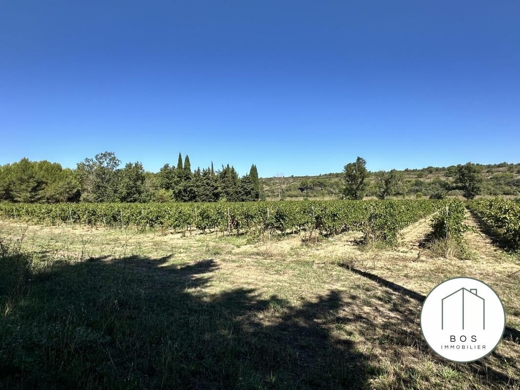 Photo 14 : Domaine en Provence