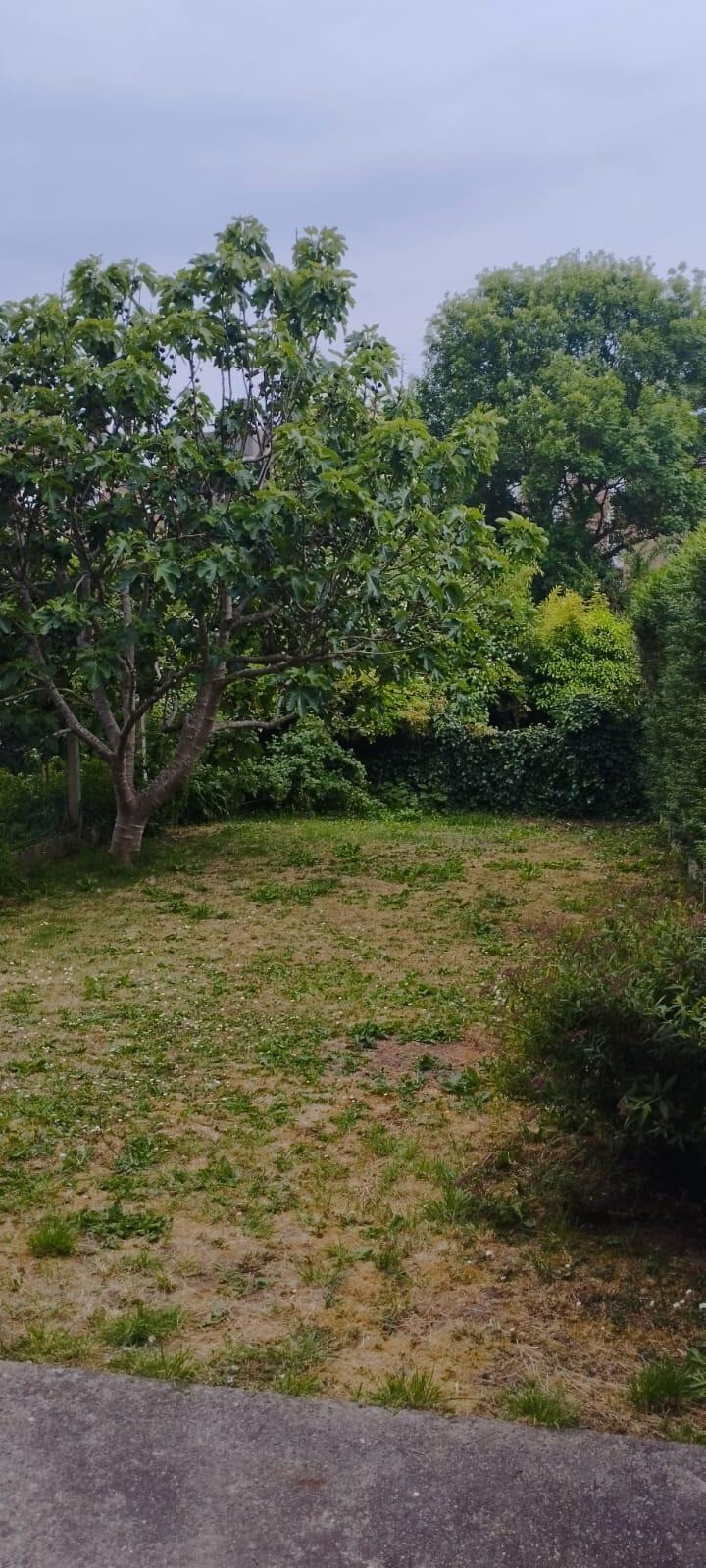 Photo 2 : Maison - Lambersart - 95m²