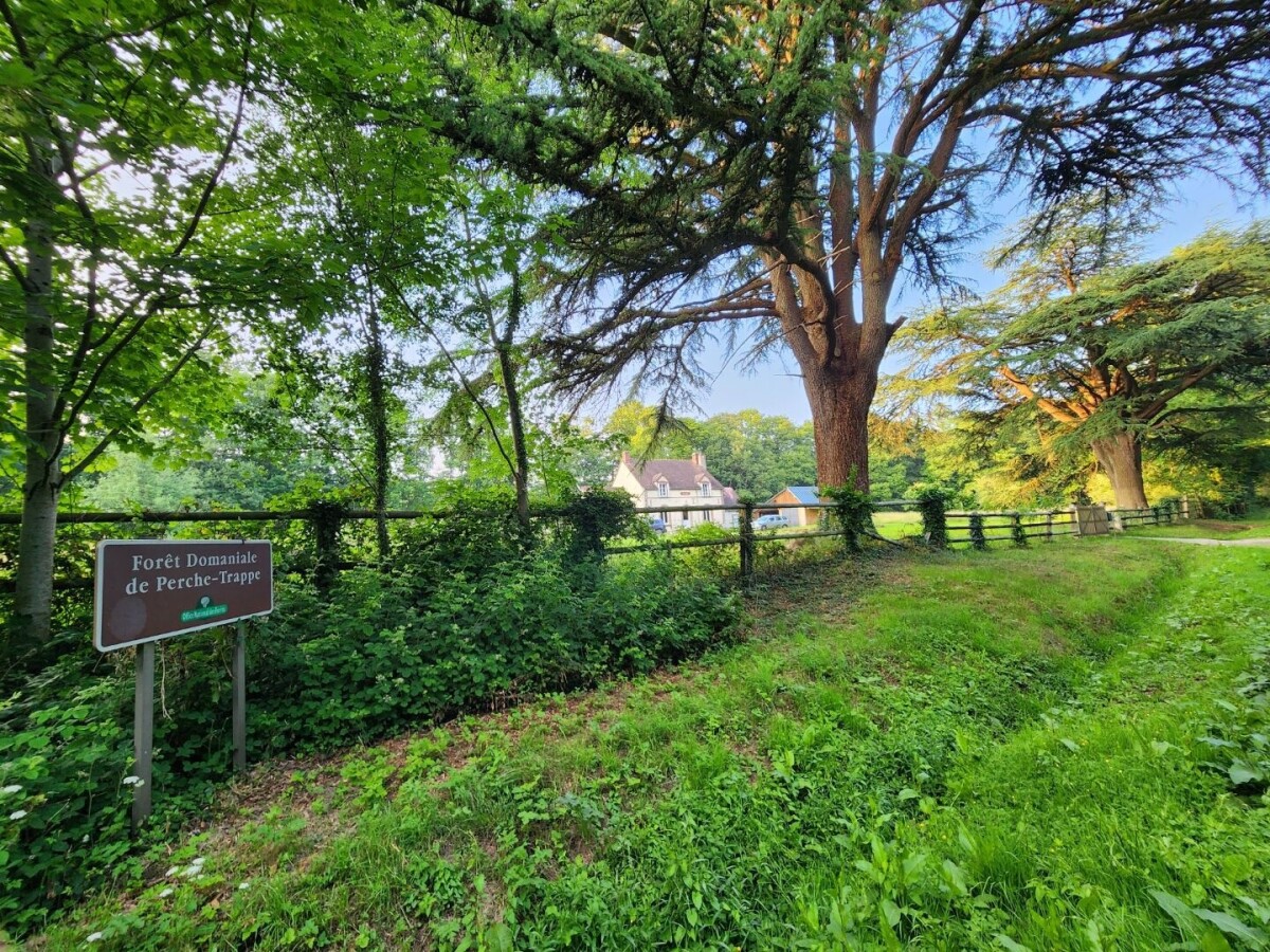 Photo 12 : Maison - Tourouvre au Perche - 130m²
