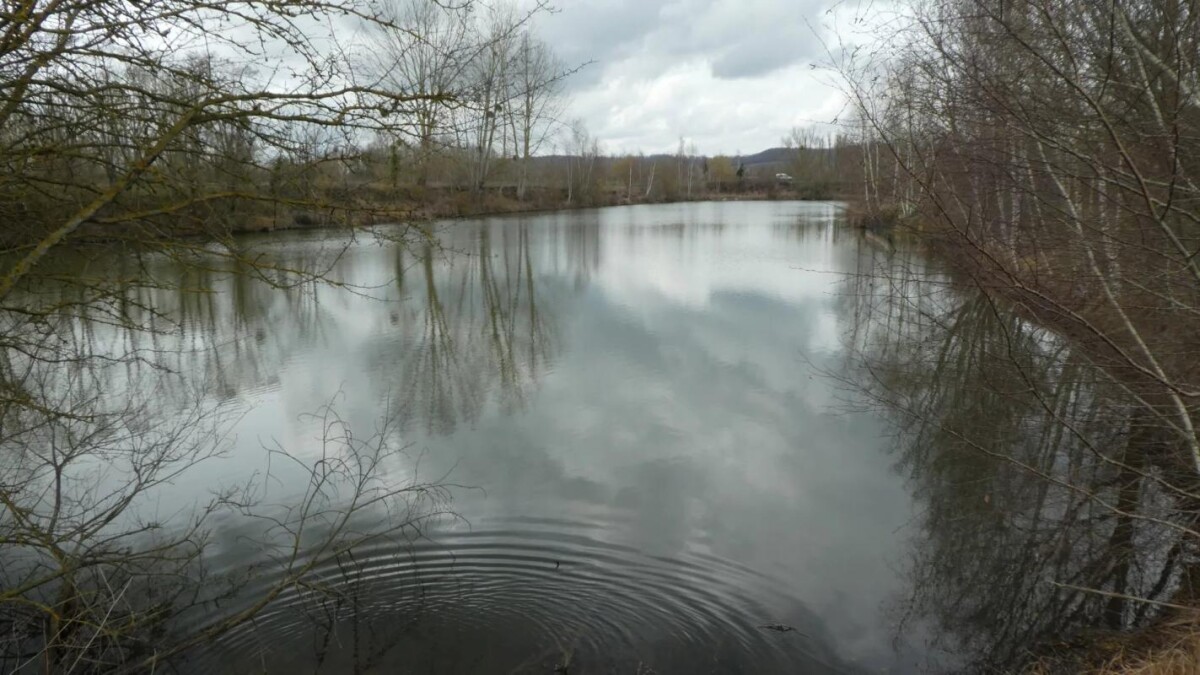 Photo 6 : Propriété avec deux étangs de pêche près de Soissons