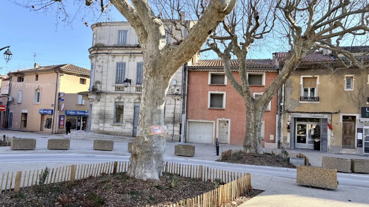 Photo 13 : Charmante Maison de village au coeur de Cabannes