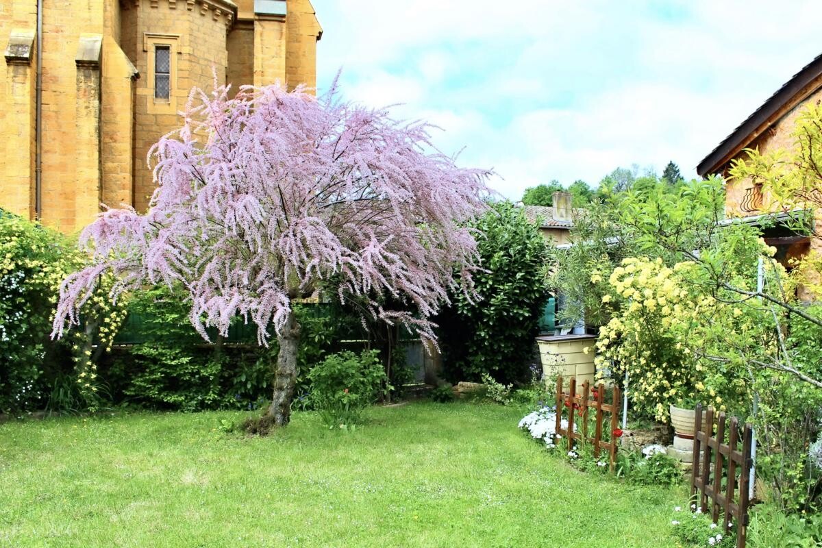 Photo 4 : Maison en pierres dorées, 5 chambres