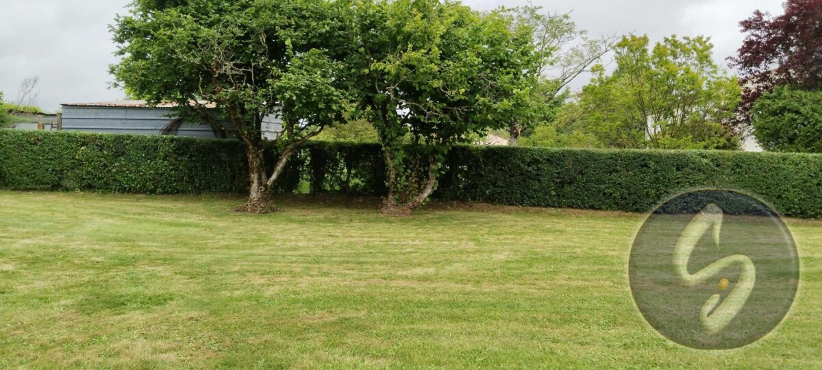 Photo 10 : Maison à vendre Vausseroux