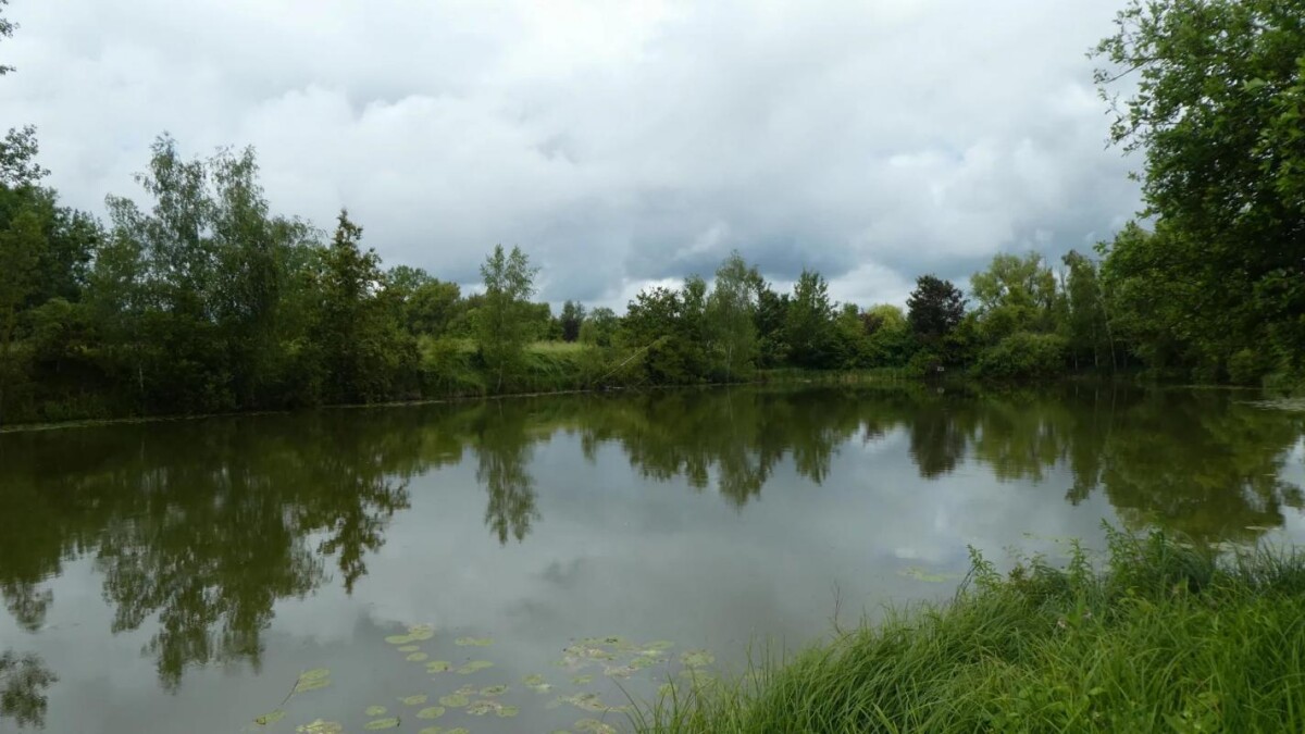 Photo 4 : Propriété avec deux étangs de pêche près de Soissons