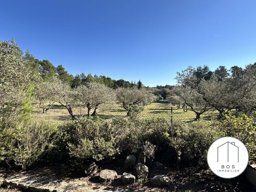 Photo 7 : Votre Mazet au coeur des Alpilles