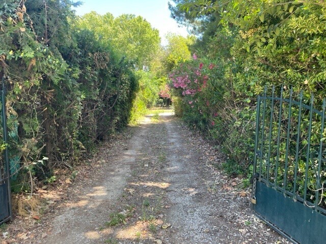 Photo 6 : Maison - Saint-André-de-Sangonis - 55m²