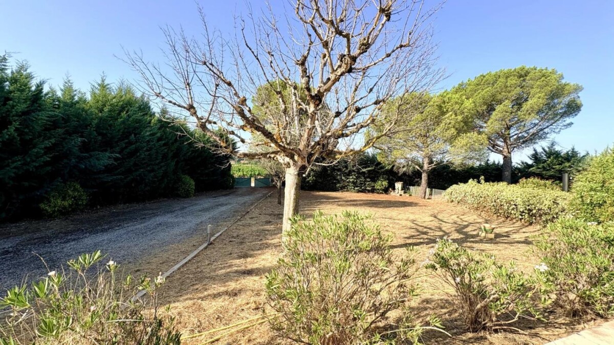Photo 5 : Villa avec dépendances au milieu des vignes à Gigondas