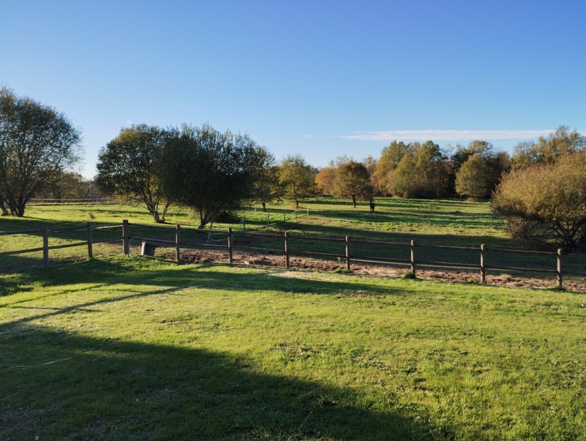 Photo 12 : Maison Bordeaux rive droite, 193m² sur 1,9 ha de terrain