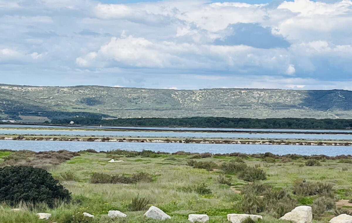 Photo 2 : Appartement - Frontignan - 40m²