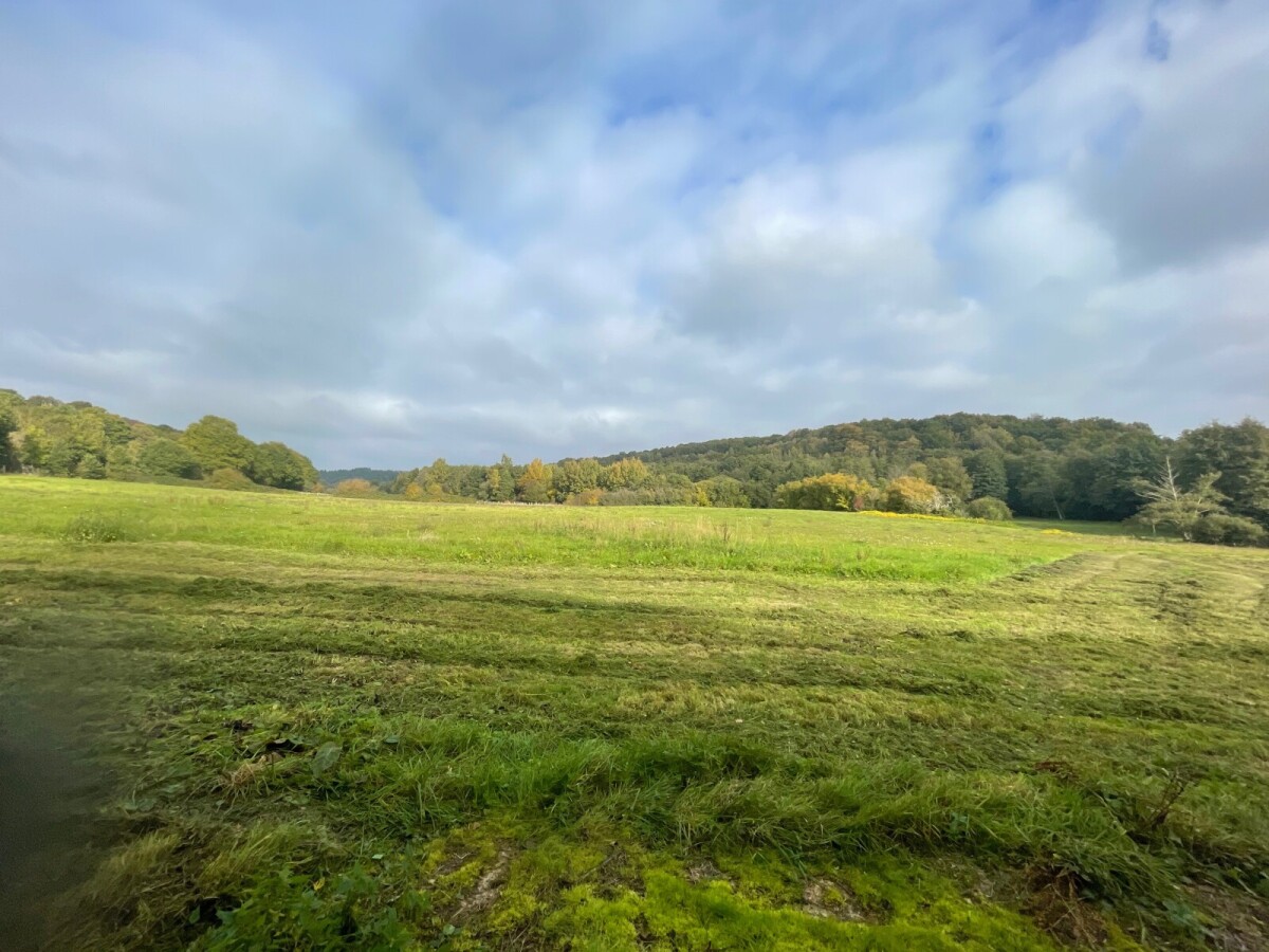 Photo 11 : Propriété percheronne dans un superbe environnement