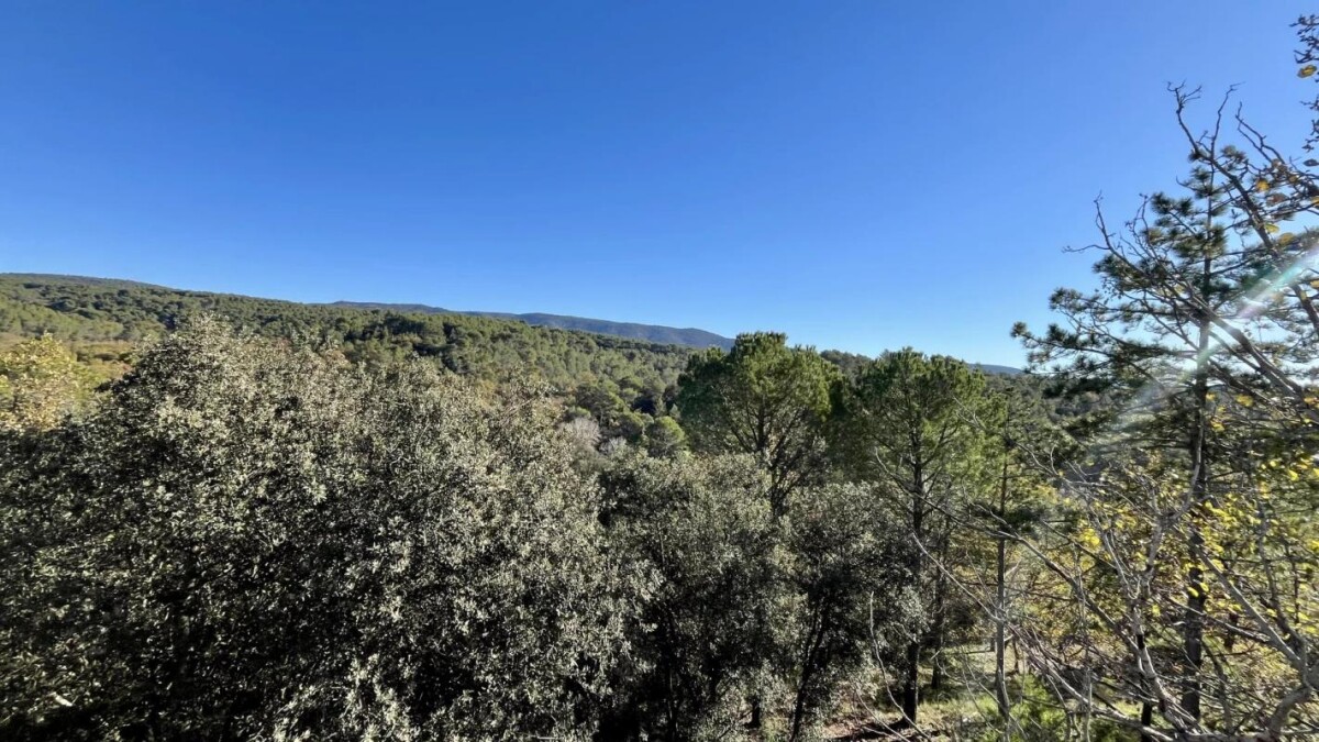 Photo 19 : Bastide de  charme sur les hauteurs de St Antoine à l'Isle sur la Sorgue