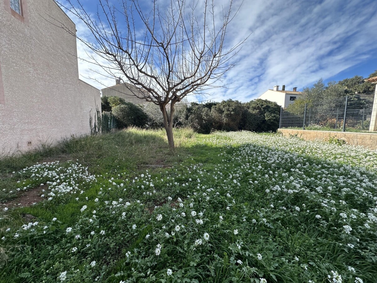 Photo 1 : Terrain - Frontignan - 363m²