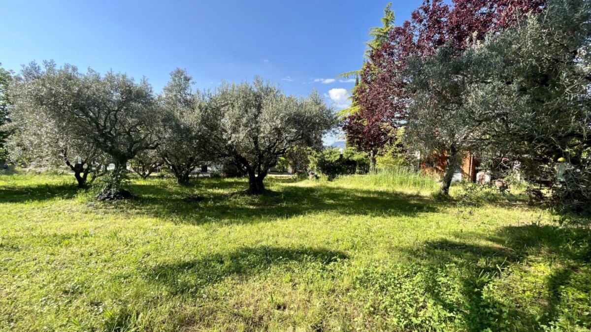 Photo 3 : Villa avec gite et dépendances à Aubignan dans le Vaucluse