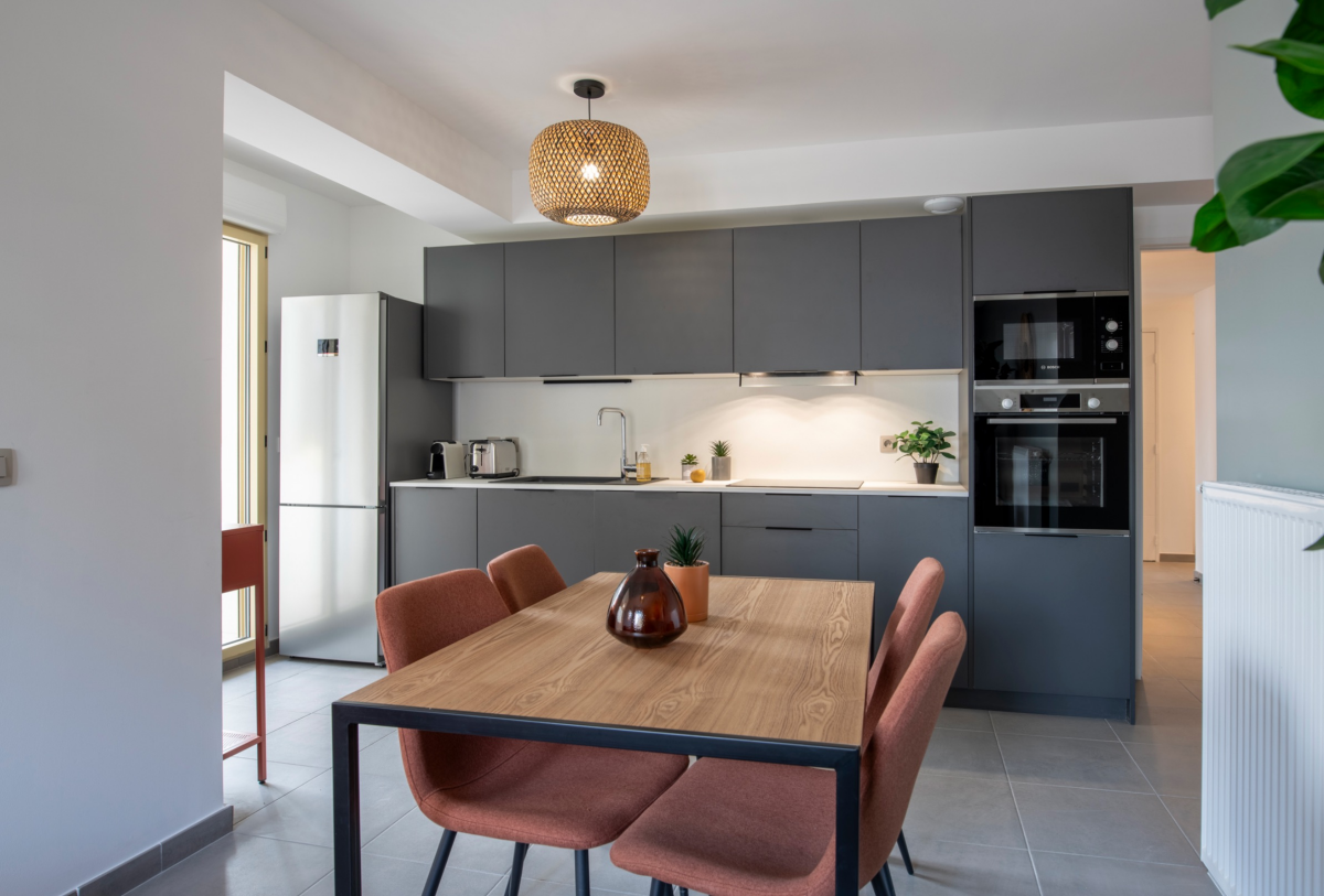 Photo 1 : T5 neuf meublé avec terrasse  - Villeurbanne  - 83m²