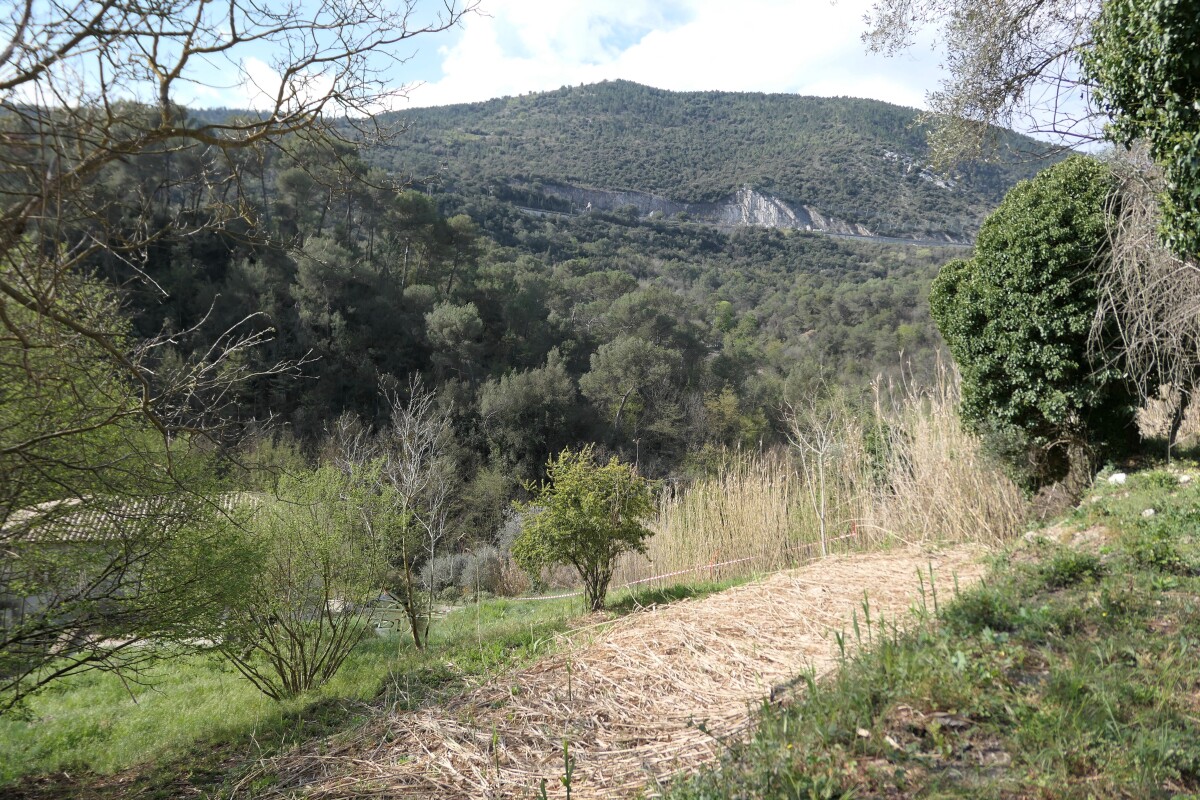 Photo 2 : Terrain à bâtir - La Trinité - 2000m²