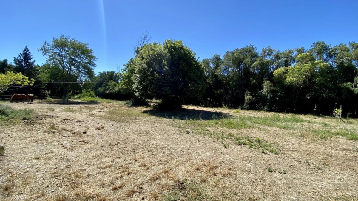 Photo 7 : Mas entièrement rénové aux portes des Alpilles
