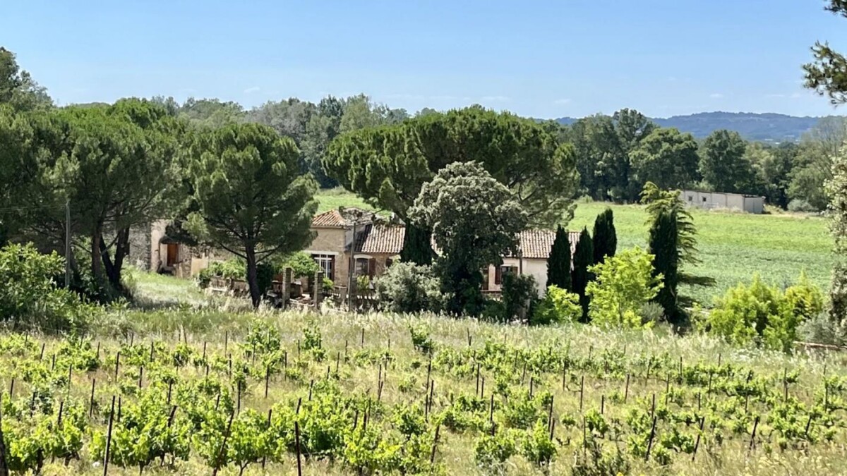Photo 6 : Ménerbes- Bastide de 320 M2 en pleine nature