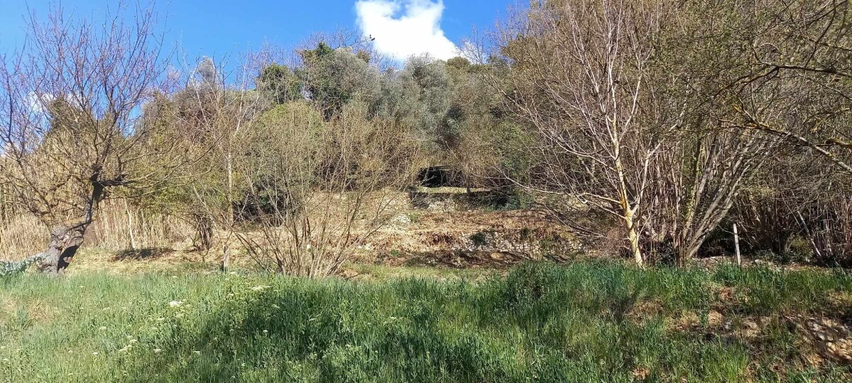 Photo 6 : Terrain à bâtir - La Trinité - 2000m²