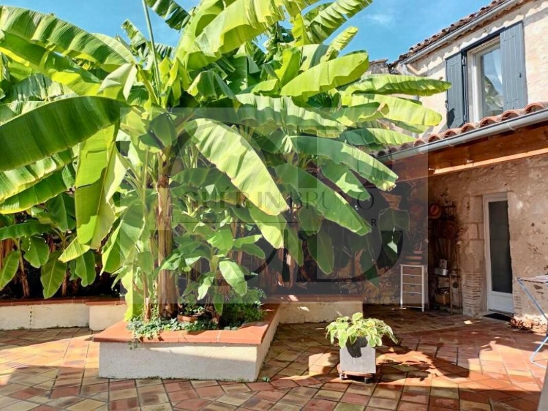 Photo 9 : Belle Maison de ville avec piscine